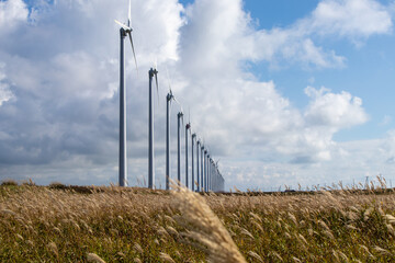 Fototapeta premium オロロンライン風車