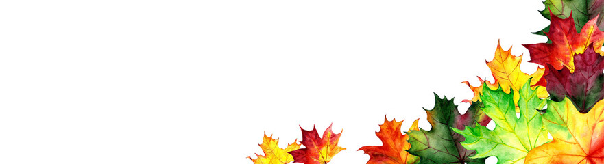 Horizontal banner with watercolor maple leaves. Autumn design. Hand drawn style. Illustration.