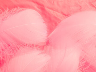 Beautiful abstract white and pink feathers on white background and soft white feather texture on pink pattern and pink background, feather background, pink banners