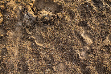 footprint on wet sand