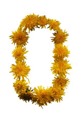 Uppercase letter O. From yellow spring flowers. On white background