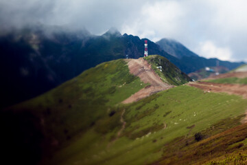swiss alps in the summer