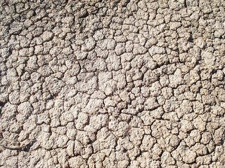 Dry land on the edge of the Kyzylkum desert, Uzbekistan.