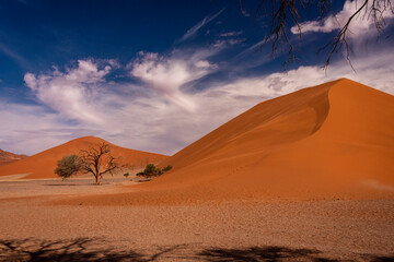 sand dunes in the desert