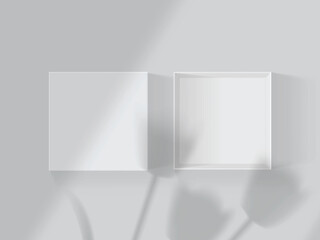 shadows from tulips and windows on a white open box mock up vector