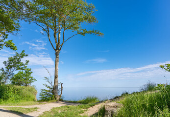 Fototapeta na wymiar View from the cliff near Weissenhaeuser Strand, Germany