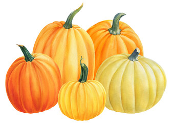 Holiday halloween. Composition of pumpkins on isolated white background, watercolor illustration, Autumn clipart