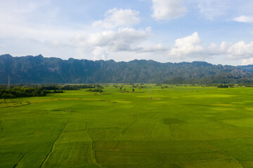 Aerial view of nature showing the tropical forest in Laos.