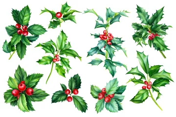 Selbstklebende Fototapeten Holly branches. Christmas clipart watercolor, decorative elements. © Hanna