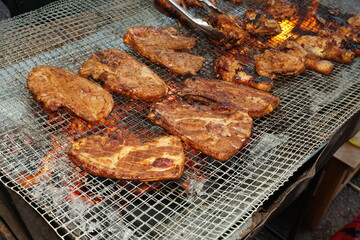 grilled meat on the grill