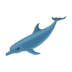 Dolphin vector icon.Cartoon vector icon isolated on white background dolphin.