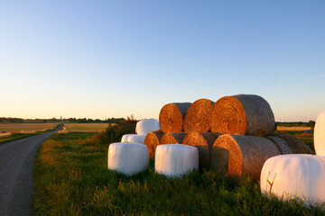 Obraz premium Resmo, Oland, Sweden Hay bales at dawn by the side of the road.