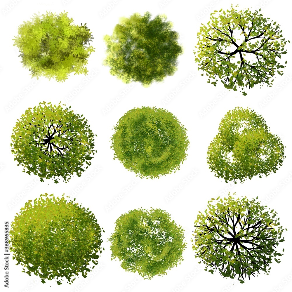 Wall mural set of watercolor tree top view for landscape plan and architecture layout