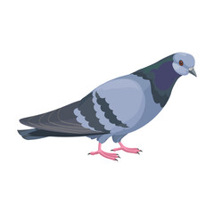 Dove vector icon.Cartoon vector icon isolated on white background dove.