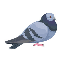 Pigeon vector icon.Cartoon vector icon isolated on white background pigeon.