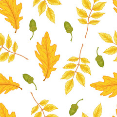 Watercolor autumn leaves seamless pattern on white background.  Oak, acorn, rowan tree
