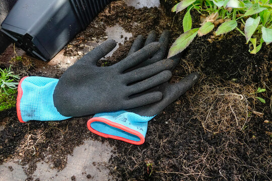Vickleby, Oland, Sweden  Gardening gloves in the garden at the Capellagarden garden center.