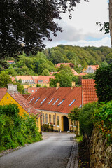 Fototapeta na wymiar Mariager, Denmark Houses and skyline of the village.