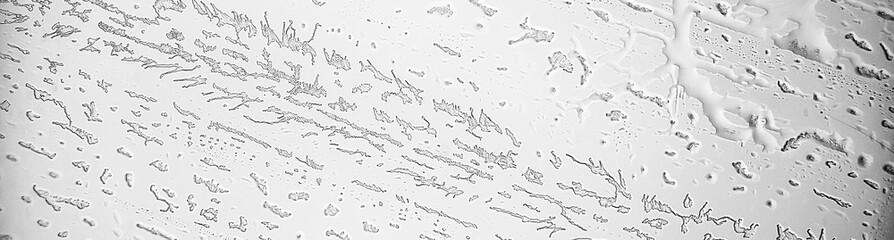 black and white ice texture