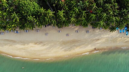 Blue lagoon and sandy beach with palms. Aerial view of blue lagoon and sun beds on sandy beach with...