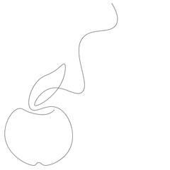 Apple fruit line drawing on white background. Vector illustration
