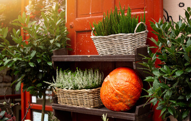 Obraz na płótnie Canvas Autumn decoration with pumpkins and flowers at a flower shop on a street in a European city