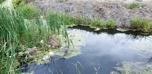 The canal is dirty because of garbage.