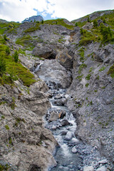 Ortler