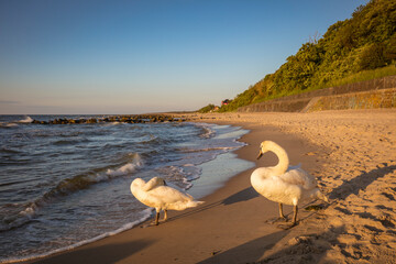 Beach in Niechorze