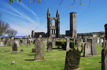 Fototapeta premium St Andrews Cathedral, Fife, Scotland