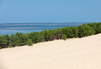 View from the Dune of Pilat, the tallest sand dune in Europe. La Teste-de-Buch, Arcachon Bay, Aquitaine, France