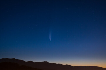 Comet Neowise 