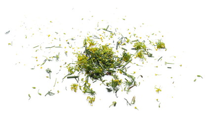 Fresh green dill with yellow flowers pile isolated on white background