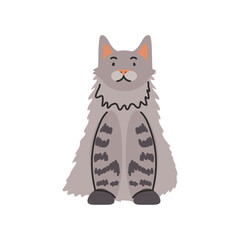 cute domestic cat on white background