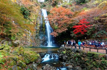 Beautiful scenery of a grand waterfall tumbling down the rocky cliff into a pond surrounded by colorful autumn foliage & tourists enjoying the scenic view in Minoh National Park, Osaka, Kansai, Japan