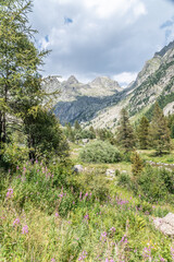 Fototapeta na wymiar Paysage de montagne dans le Parc National du Mercantour dans le Sud des Alpes