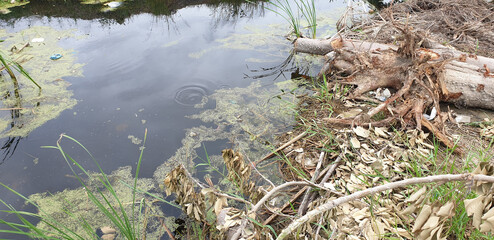 The canal is dirty because of garbage.
