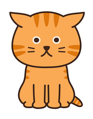 Watchful cat, ears are sticking straight up. Isolated on white background.