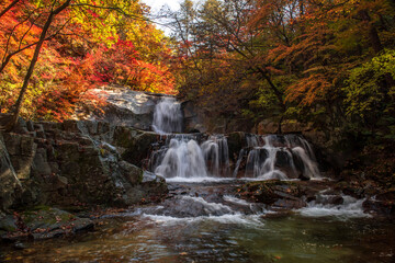 Fototapeta na wymiar Beautiful autumn waterfall,red and yellow colorful tree leaves with stream of mountain.C