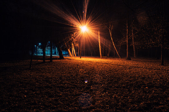 Lonely glowing lantern in the park at night