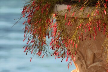 Holidays in Belek, Turkey. Summer 2020