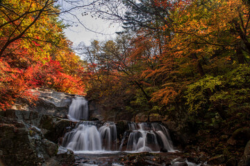 Beautiful autumn waterfall,red and yellow colorful tree leaves with stream of mountain.

C