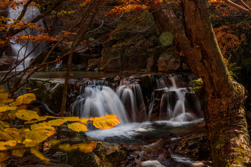 Beautiful autumn waterfall,red and yellow colorful tree leaves with stream of mountain.

C