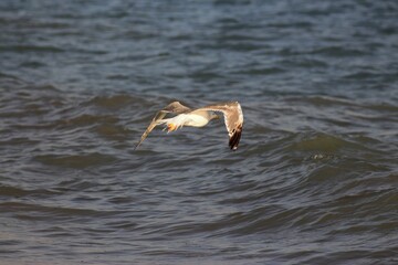 Holidays in Belek, Turkey. Summer 2020