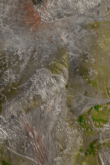    Flowers in ice. Macro. Frozen beautiful floral.  