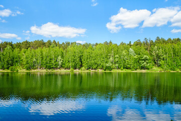 Summer forest, reflecting in waters of lake or river. Corner of virgin nature, untouched by human activity