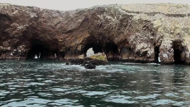 Cormorants, Penguins and Pelicans On The Ballestas Islands - Peru