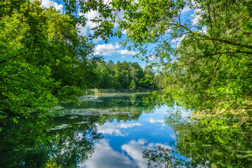 View onto reserve lake, hidden behind trees. Perfect summer weather, blue sky with scenic clouds are reflecting in water just as in the mirror