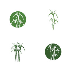 Sugar cane Logo Template vector symbol