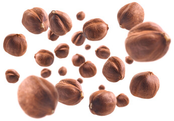 Peeled hazelnut levitates on a white background